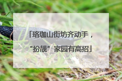 珞珈山街坊齐动手，“扮靓”家园有高招