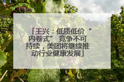 王兴：低质低价“内卷式” 竞争不可持续，美团将继续推动行业健康发展