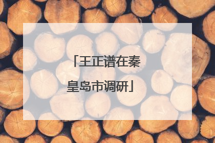 王正谱在秦皇岛市调研