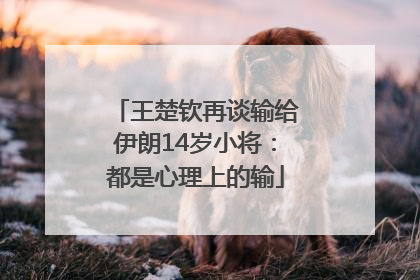 王楚钦再谈输给伊朗14岁小将：都是心理上的输