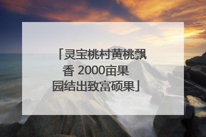 灵宝桃村黄桃飘香 2000亩果园结出致富硕果
