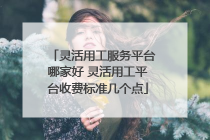 灵活用工服务平台哪家好 灵活用工平台收费标准几个点