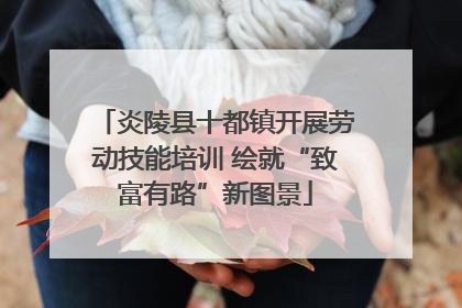 炎陵县十都镇开展劳动技能培训 绘就“致富有路”新图景