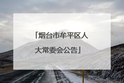 烟台市牟平区人大常委会公告