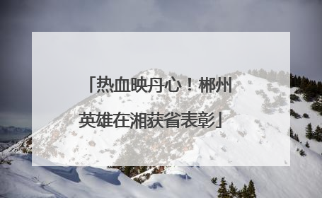热血映丹心！郴州英雄在湘获省表彰