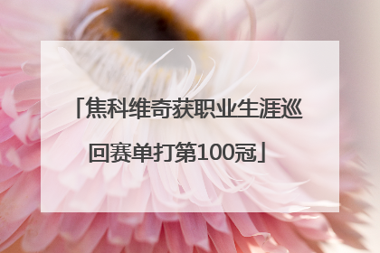 焦科维奇获职业生涯巡回赛单打第100冠