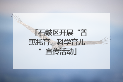 石鼓区开展“普惠托育、科学育儿”宣传活动