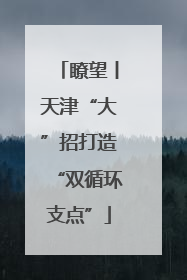 瞭望丨天津“大”招打造“双循环支点”