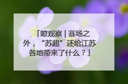 瞭观察 | 赛场之外，“苏超”还给江苏各地带来了什么？