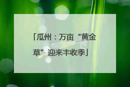 瓜州：万亩“黄金草”迎来丰收季