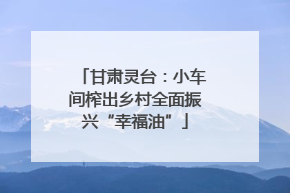 甘肃灵台：小车间榨出乡村全面振兴“幸福油”