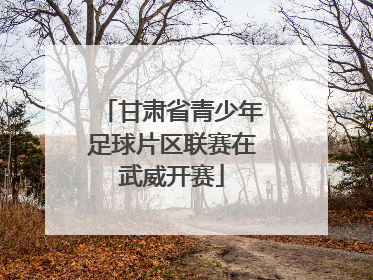 甘肃省青少年足球片区联赛在武威开赛