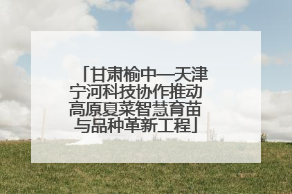 甘肃榆中—天津宁河科技协作推动高原夏菜智慧育苗与品种革新工程