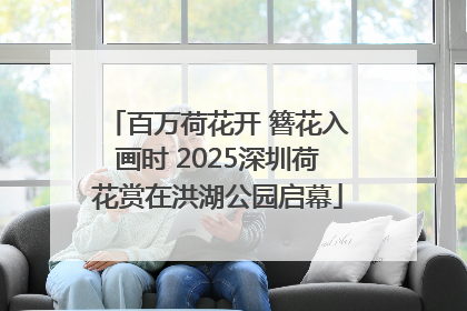 百万荷花开 簪花入画时 2025深圳荷花赏在洪湖公园启幕