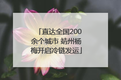 直达全国200余个城市 靖州杨梅开启冷链发运