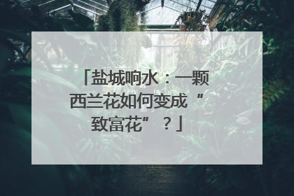 盐城响水：一颗西兰花如何变成“致富花”？