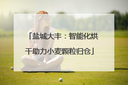 盐城大丰：智能化烘干助力小麦颗粒归仓
