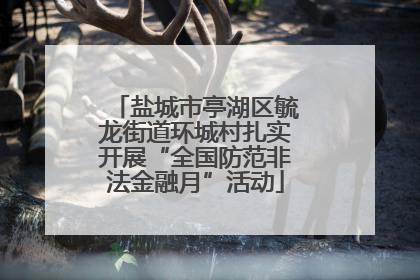 盐城市亭湖区毓龙街道环城村扎实开展“全国防范非法金融月”活动