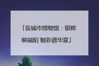 盐城市博物馆：银辉映端阳 釉彩谱华章