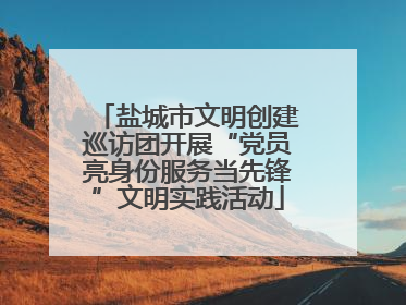 盐城市文明创建巡访团开展“党员亮身份服务当先锋”文明实践活动