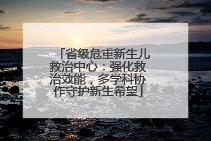 省级危重新生儿救治中心：强化救治效能，多学科协作守护新生希望