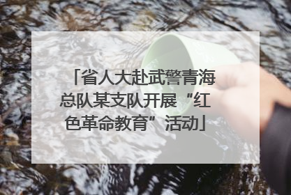 省人大赴武警青海总队某支队开展“红色革命教育”活动