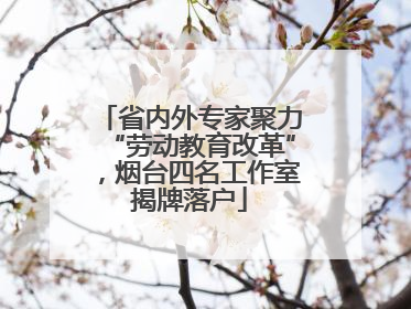 省内外专家聚力“劳动教育改革”，烟台四名工作室揭牌落户