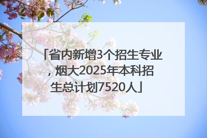 省内新增3个招生专业，烟大2025年本科招生总计划7520人