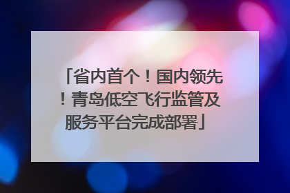 省内首个！国内领先！青岛低空飞行监管及服务平台完成部署