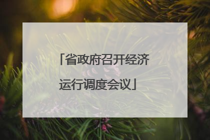 省政府召开经济运行调度会议