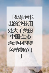 砒砂岩长出的沙棘用处大（美丽中国·生态治理中的特色植物③）