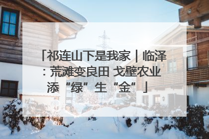 祁连山下是我家｜临泽：荒滩变良田 戈壁农业添“绿”生“金”