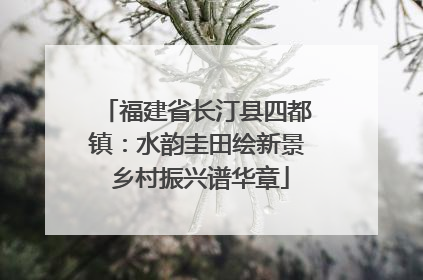 福建省长汀县四都镇：水韵圭田绘新景 乡村振兴谱华章