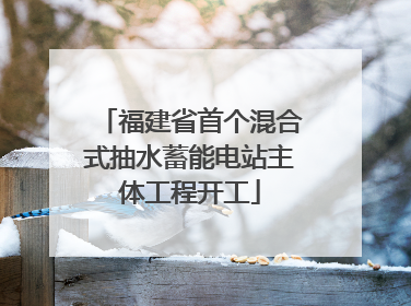 福建省首个混合式抽水蓄能电站主体工程开工