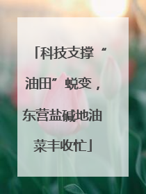 科技支撑“油田”蜕变,东营盐碱地油菜丰收忙
