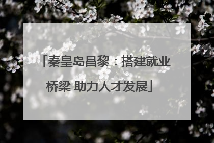 秦皇岛昌黎：搭建就业桥梁 助力人才发展