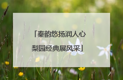 秦韵悠扬润人心 梨园经典展风采