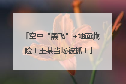 空中“黑飞”+地面藏险！王某当场被抓！