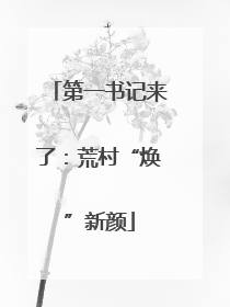 第一书记来了：荒村“焕”新颜