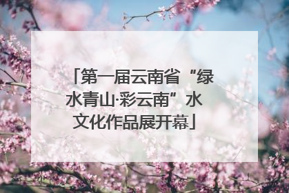 第一届云南省“绿水青山·彩云南”水文化作品展开幕
