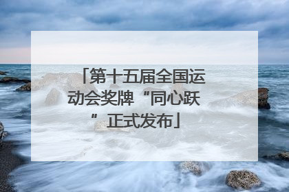 第十五届全国运动会奖牌“同心跃”正式发布