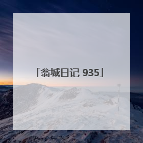 翁城日记 935