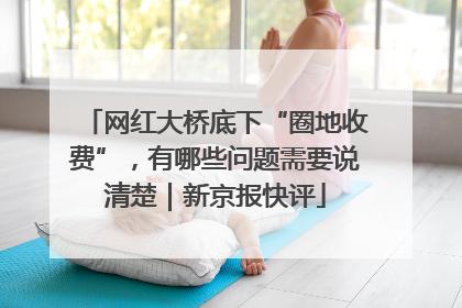 网红大桥底下“圈地收费”，有哪些问题需要说清楚｜新京报快评