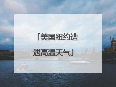 美国纽约遭遇高温天气