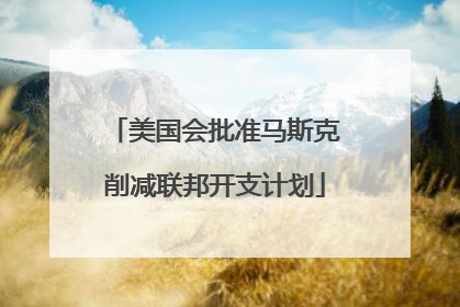 美国会批准马斯克削减联邦开支计划