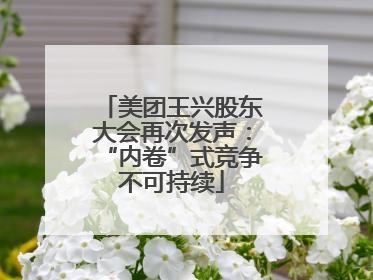 美团王兴股东大会再次发声：“内卷”式竞争不可持续