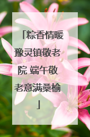 粽香情暖豫灵镇敬老院 端午敬老意满桑榆