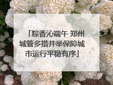 粽香沁端午 郑州城管多措并举保障城市运行平稳有序
