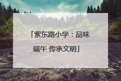 紫东路小学：品味端午 传承文明