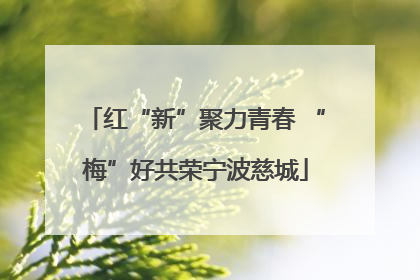 红“新”聚力青春 “梅”好共荣宁波慈城